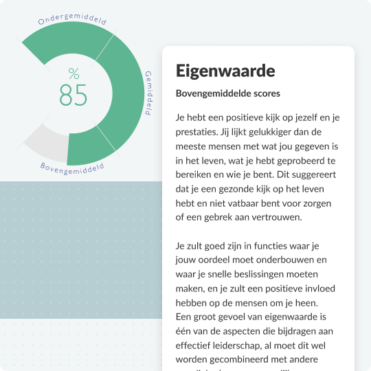 Emotionele Intelligentie Testen Eq Tests 4311